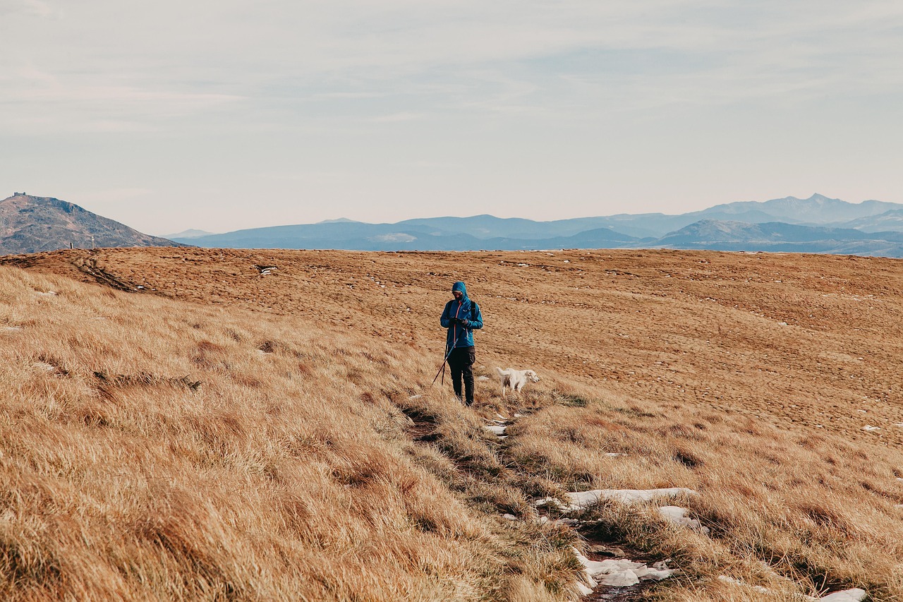découvrez tout ce qu'il faut savoir sur le backpacking : conseils, destinations incontournables, équipements essentiels et astuces pour vivre une aventure inoubliable à petit budget.