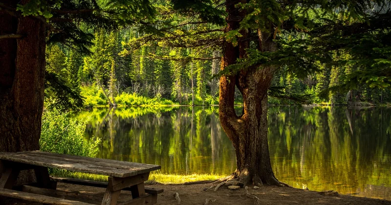 Trouver une aire ouverte actuellement, autour de vous