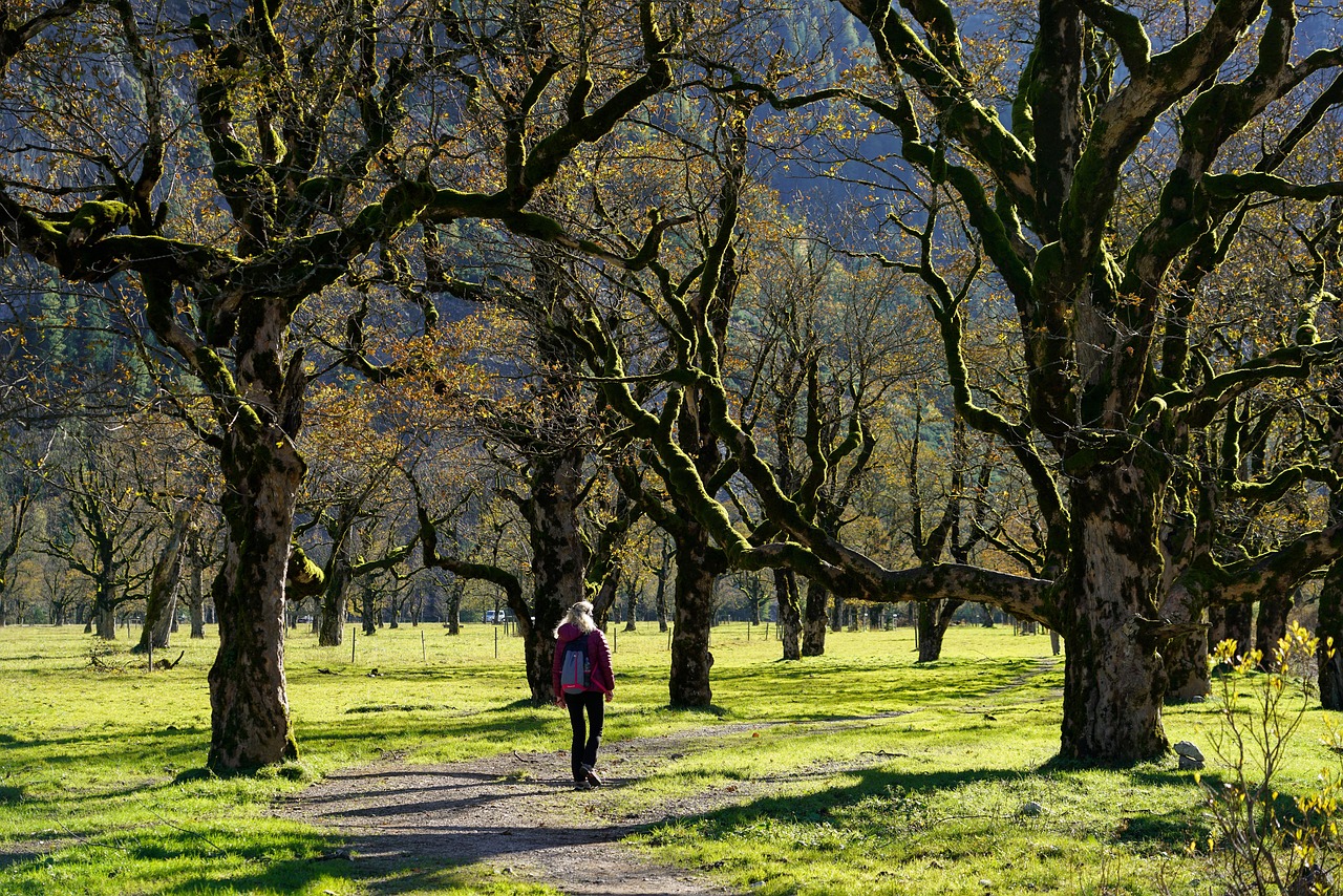 découvrez l'art du backpacking : une aventure unique à travers les paysages fascinants, des conseils pratiques pour voyager léger et rencontrer des cultures diverses. préparez votre prochaine escapade avec nos astuces essentielles pour un périple inoubliable!