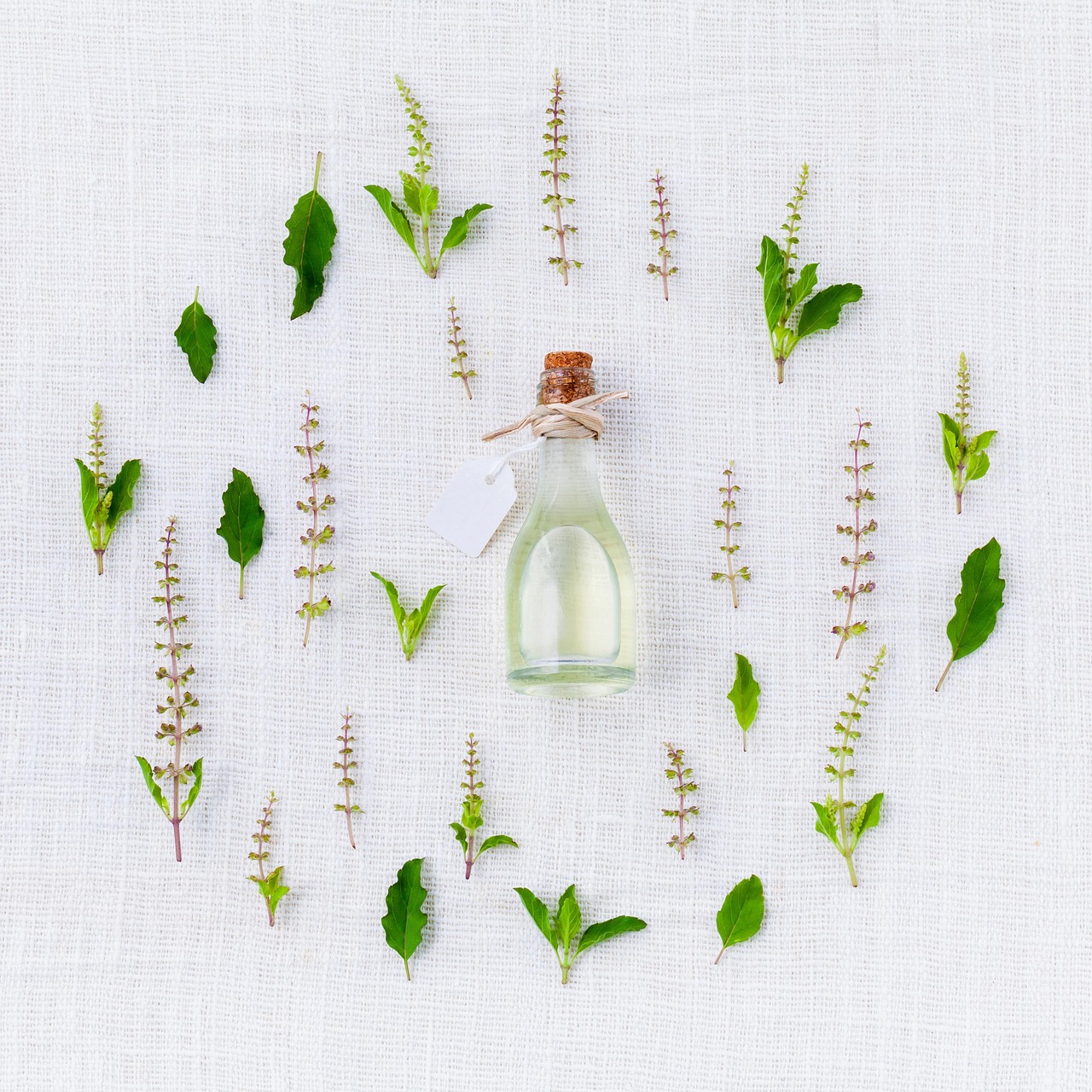 découvrez notre sélection d'équipements essentiels pour toutes vos aventures. des articles incontournables pour les passionnés de plein air, garantissant qualité et performance. préparez-vous avec le meilleur matériel !