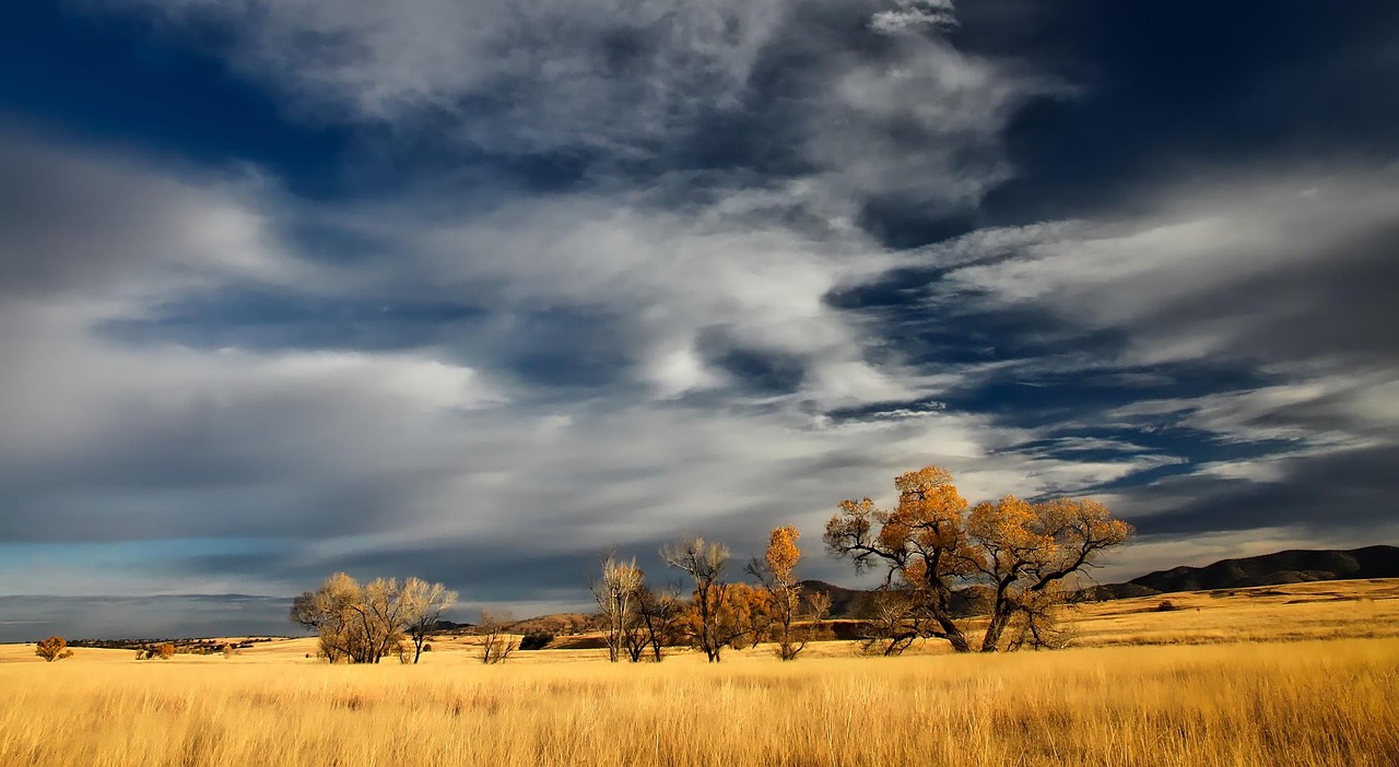 découvrez l'univers de patagonia, la marque emblématique engagée dans la protection de l'environnement. explorez nos vêtements et équipements outdoor durables, conçus pour les aventuriers soucieux de la planète.