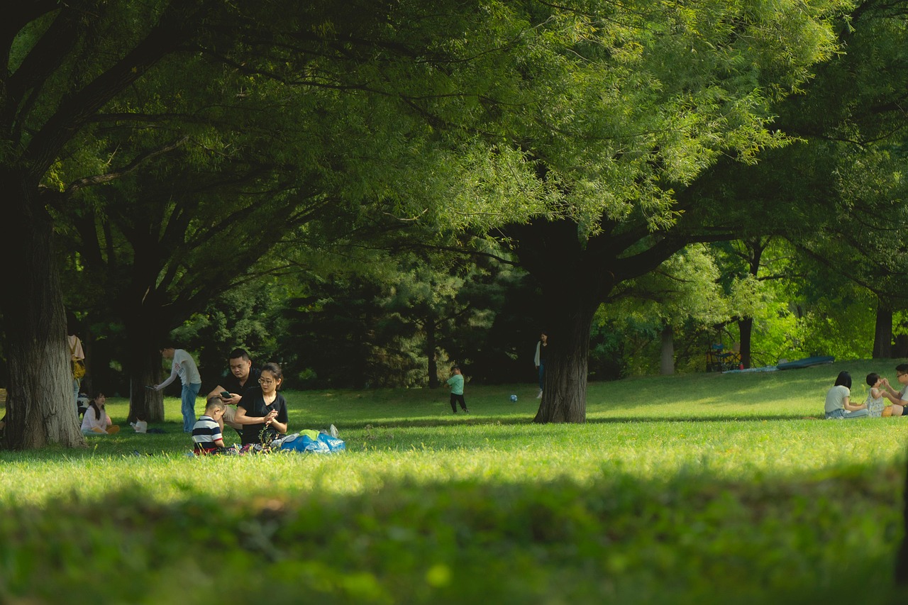 découvrez les family parks, des espaces ludiques et sécurisés idéals pour passer des moments inoubliables en famille. profitez de nombreuses activités et amusez-vous avec vos proches dans un environnement convivial !