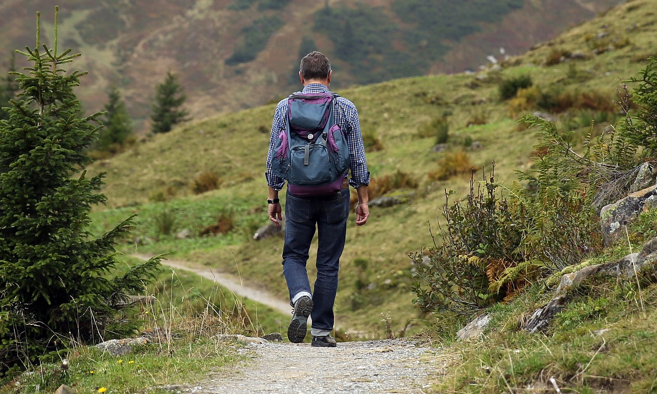 découvrez le plaisir de la randonnée : conseils, itinéraires et astuces pour explorer la nature à pied en toute sécurité et profiter de chaque aventure.
