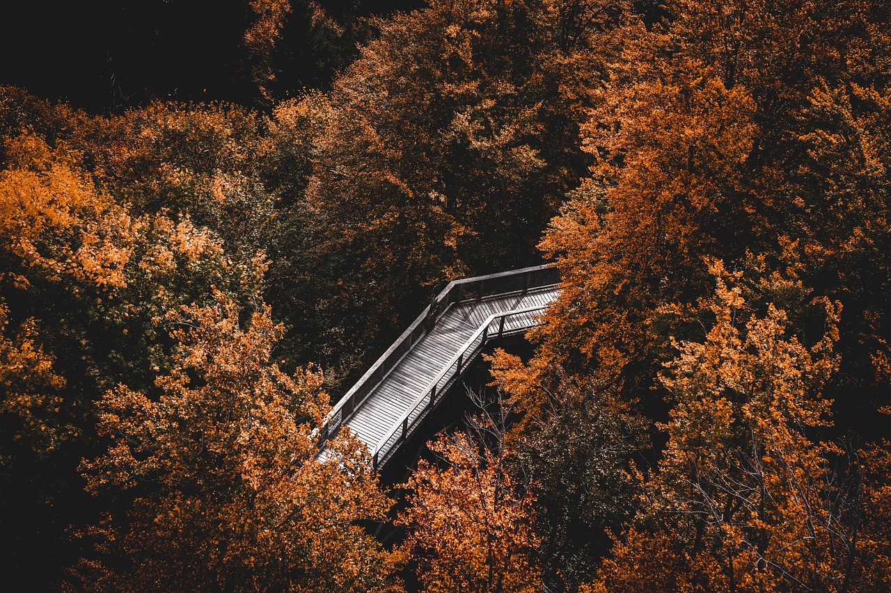 découvrez des conseils, itinéraires et astuces pour profiter pleinement de la randonnée. trouvez les meilleurs sentiers, préparez votre équipement et explorez la nature en toute sécurité.