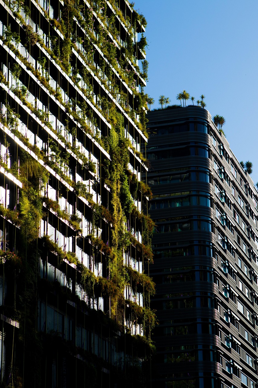 découvrez comment voyager de manière responsable et éco-responsable grâce à nos conseils sur le voyage durable : astuces pour réduire votre impact environnemental et profiter pleinement de vos aventures tout en respectant la planète.