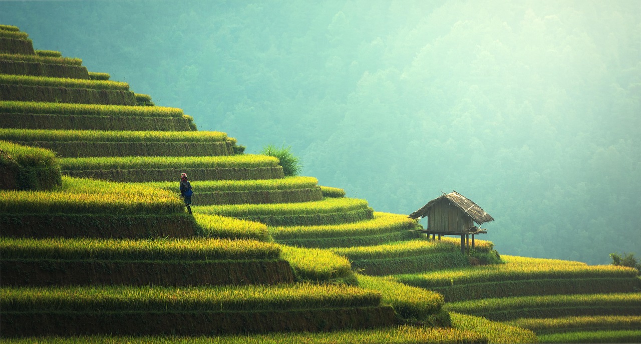 découvrez nos conseils et astuces pour voyager de manière responsable et durable. optez pour un tourisme éco-responsable afin de minimiser votre impact sur l'environnement tout en profitant de nouvelles expériences culturelles.