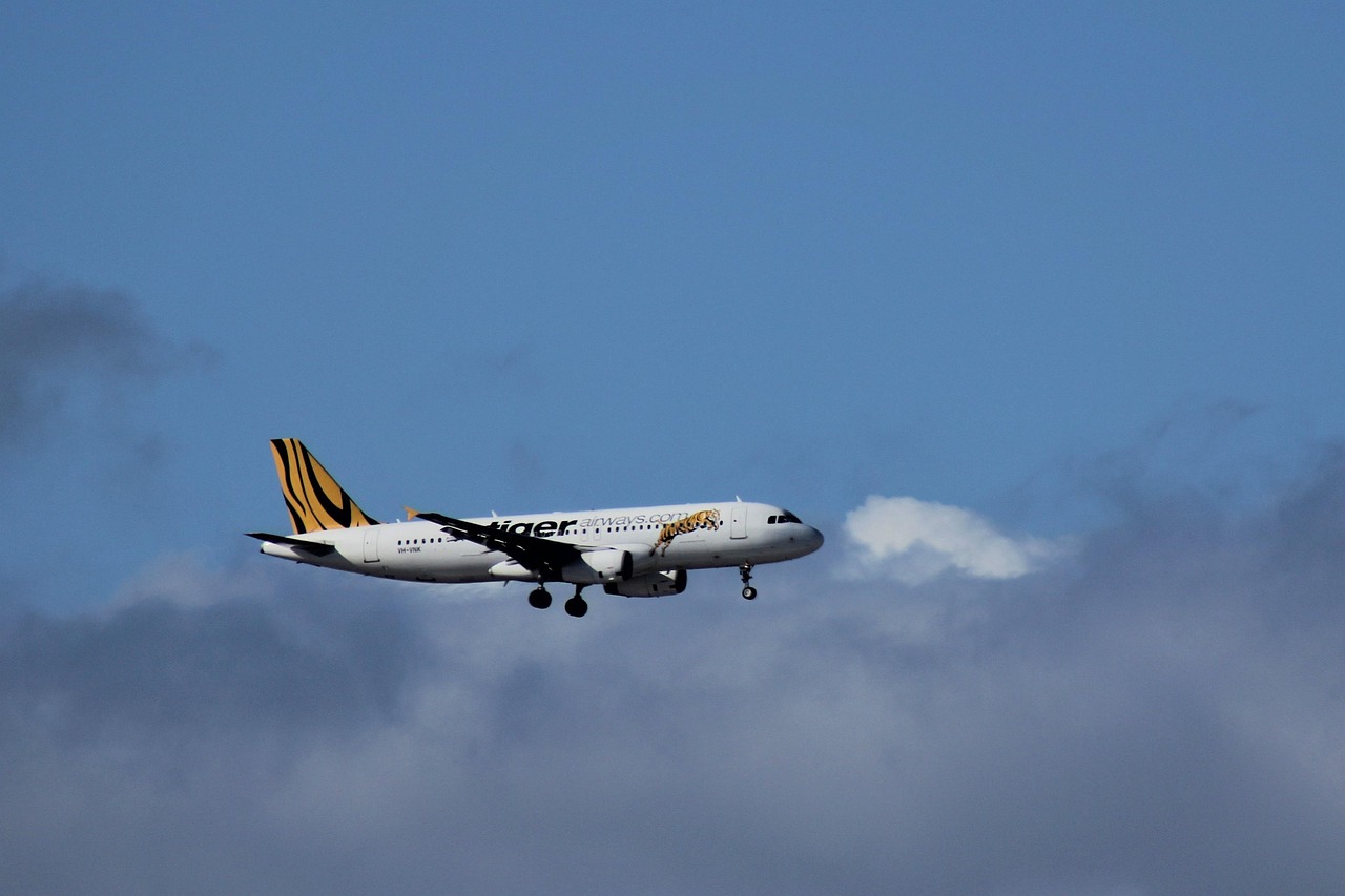 trouvez des vols pas chers facilement et économisez sur vos billets d'avion grâce à nos offres exclusives et comparateurs de prix.